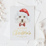 水彩可愛いマルチーズサンタメリークリスマス 箔シーズンポストカード<br><div class="desc">メリークリスマス!このカスタマイズ可能なクリスマスポストカードで家族や友人に休日の願いを送信する。サンタ帽をかぶった水色のマルチーズ犬が特徴。この金ゴールドフォイルのクリスマスポストカードをカスタマイズして、あなたの詳細を追加。このマルチーズ犬のクリスマスカードは他のカードストックで利用可能である。一致するアイテムが使用可能。</div>