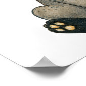 水彩可愛いラクーン ポスター (角)