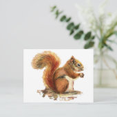 水彩可愛い赤リス動物自然 ポストカード (スタンド正面)