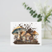 水彩国産きのこ月 ポストカード (スタンド正面)