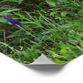 水彩園猫 ポスター (角)