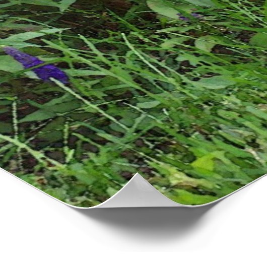 水彩園猫 ポスター (角)