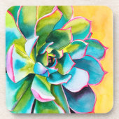 水彩多肉植物 コースター (正面)