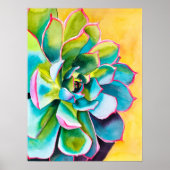水彩多肉植物 ポスター (正面)