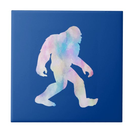 水彩大足 タイル (正面)