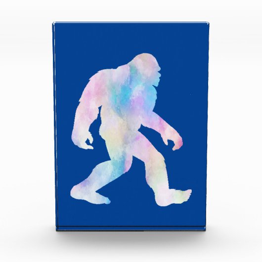 水彩大足 フォトブロック (正面)