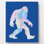 水彩大足 フォトプラーク (正面)