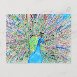水彩孔雀絵画の ポストカード