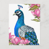 水彩孔雀 ポストカード (正面)