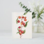 水彩小さなリンゴの枝 ポストカード (スタンド正面)