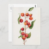 水彩小さなリンゴの枝 ポストカード (正面/裏面)