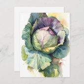 水彩新型キャベツ シーズンカード (正面/裏面)