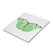 水彩春蝶 タイル (側面)