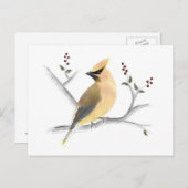 水彩杉わき葉書 ポストカード (正面/裏面)