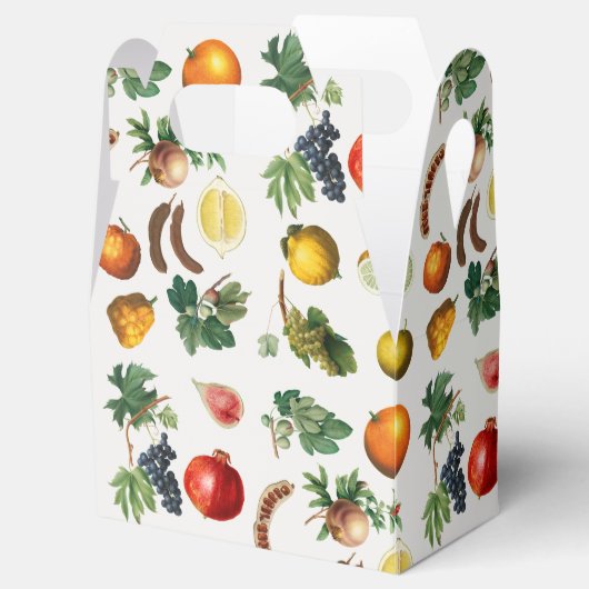 水彩果実地中海の模様 フェイバーボックス (オープン)