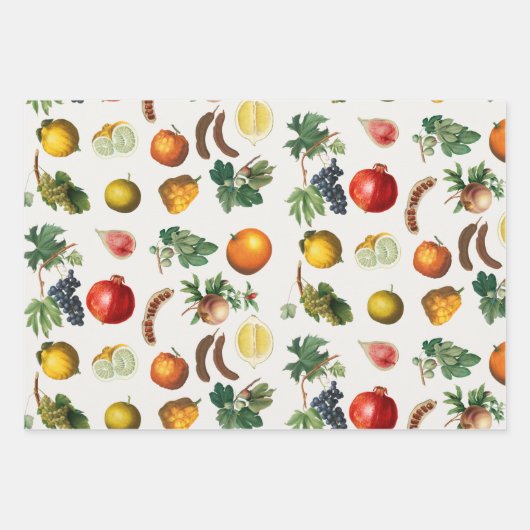 水彩果実地中海の模様 ラッピングペーパーシート (正面3)