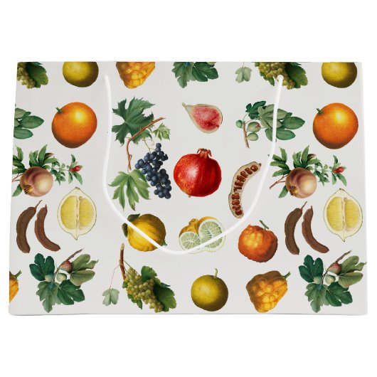 水彩果実地中海の模様 ラージペーパーバッグ (正面)