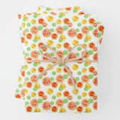 水彩柑橘類おもしろいハンドレ図解入りの、写真付きのモンライム ラッピングペーパーシート (インサイチュ)