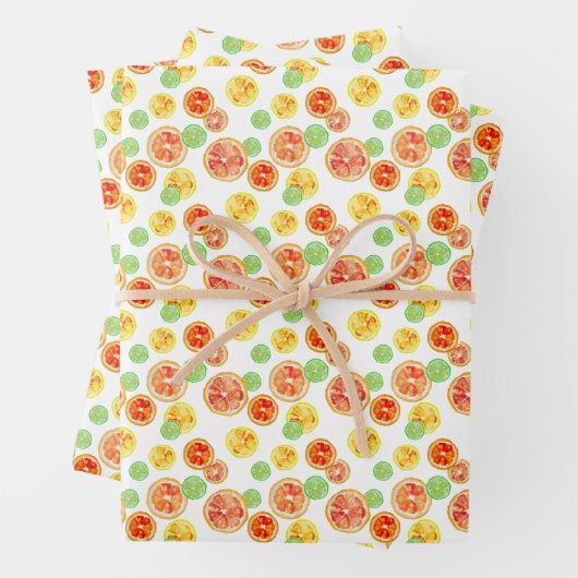 水彩柑橘類おもしろいハンドレ図解入りの、写真付きのモンライム ラッピングペーパーシート (インサイチュ)