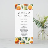 水彩柑橘類オ離れレン結婚ジュ プログラム (スタンド正面)