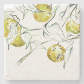 水彩柑橘類フルーツクレメンチンかわいこちゃん ストーンコースター (正面)