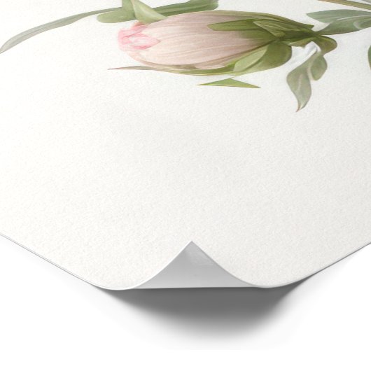 水彩柔らかいピンクの桃の牡丹スクエア ポスター (角)