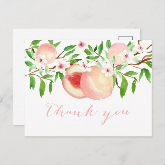 水彩桃のベイビーシャワー感謝カード ポストカード (正面/裏面)