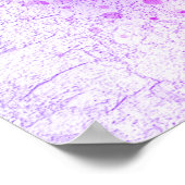 水彩桃色グラデーションと紫蝶 ポスター (角)