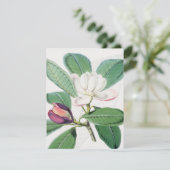 水彩植物白マグノリア&グリーン葉ズ シーズンカード (スタンド正面)