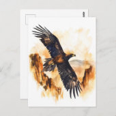 水彩楔尾イーグル飛んでいる ポストカード (正面/裏面)
