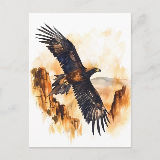 水彩楔尾イーグル飛んでいる ポストカード (正面)