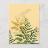 水彩樹木2 ポストカード (正面)