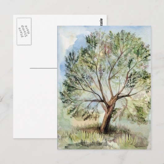水彩樹 ポストカード (正面/裏面)