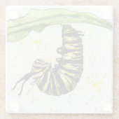 水彩毛虫コースター ガラスコースター (裏面)