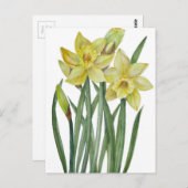 水彩水彩ダッフルズフラワーポートレートイラストレーション ポストカード (正面/裏面)