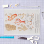 水彩沿岸サンゴ 薄葉紙 (クラフト)