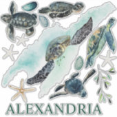 水彩海亀の沿岸収集名 シール (正面)