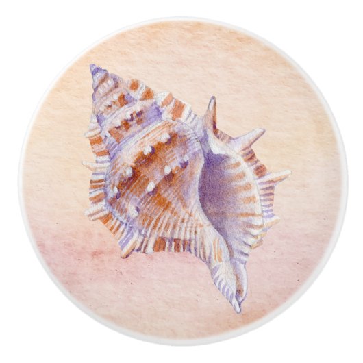 水彩海背景絵を描貝類 セラミックノブ (正面)