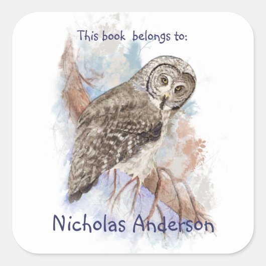 水彩灰色素晴らしフクロウ鳥蔵書票アート スクエアシール (正面)