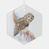 水彩灰色素晴らしフクロウ鳥野獣アート ガラスオーナメント (正面)