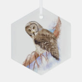 水彩灰色素晴らしフクロウ鳥野獣アート ガラスオーナメント (裏面)