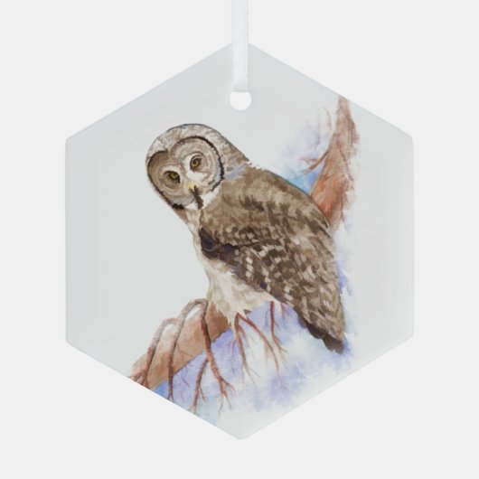 水彩灰色素晴らしフクロウ鳥野獣アート ガラスオーナメント (裏面)
