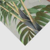 水彩熱帯林・とうかん鳥 薄葉紙 (詳細)