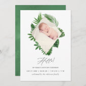 水彩熱帯産地発表フォトカード 案内状 (正面/裏面)