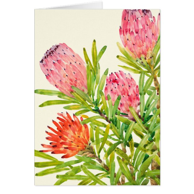 水彩熱帯花 (正面)