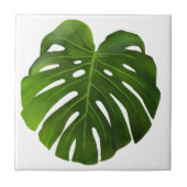 水彩熱帯葉 タイル (正面)