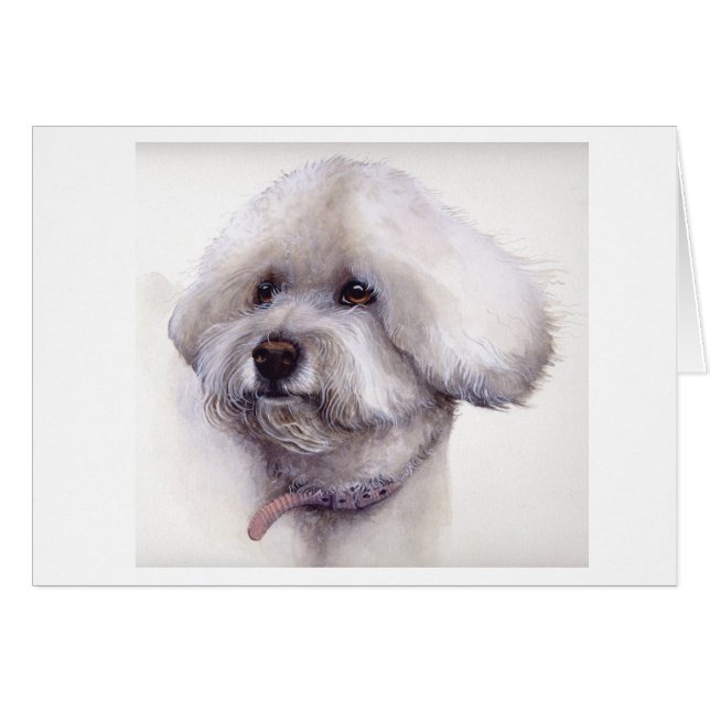水彩画で絵を描かれるBichon Frise (正面横)