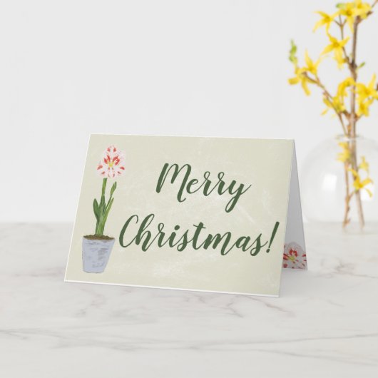 水彩画のアマリリスの花の冬の花柄 カード (黄色い花)