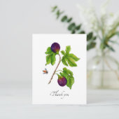 水彩画のイチジクの植物学的なフラットな感謝カード サンキューカード (スタンド正面)