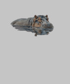 水彩画のカバの水中イラスト (裾)